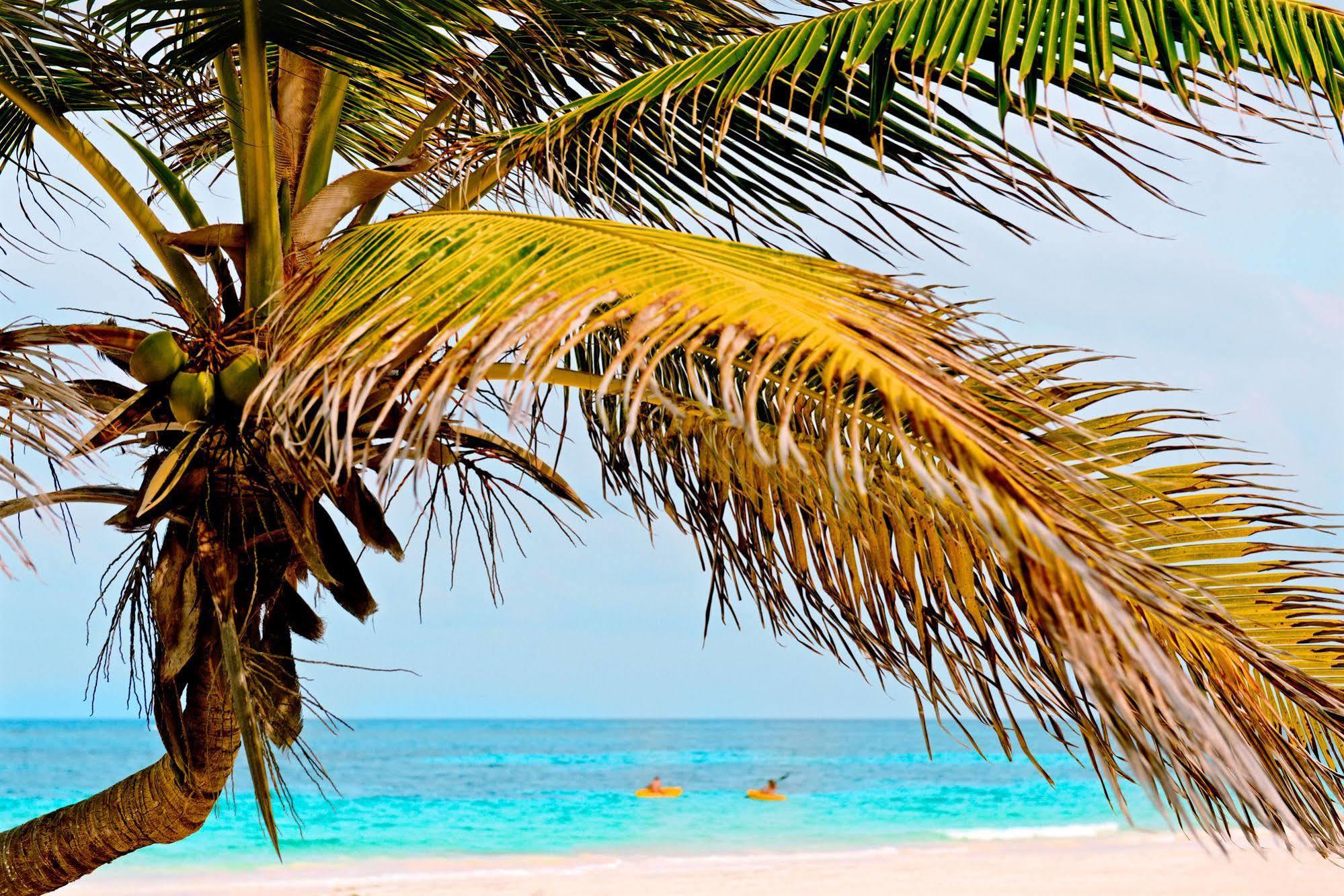 Casa Chable Hotel Punta Allen Exterior foto